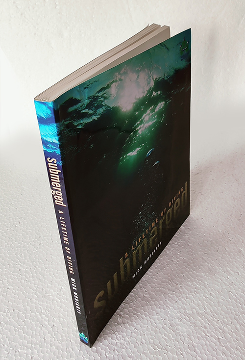 Submerged, by Mick Moriarty - Image 2